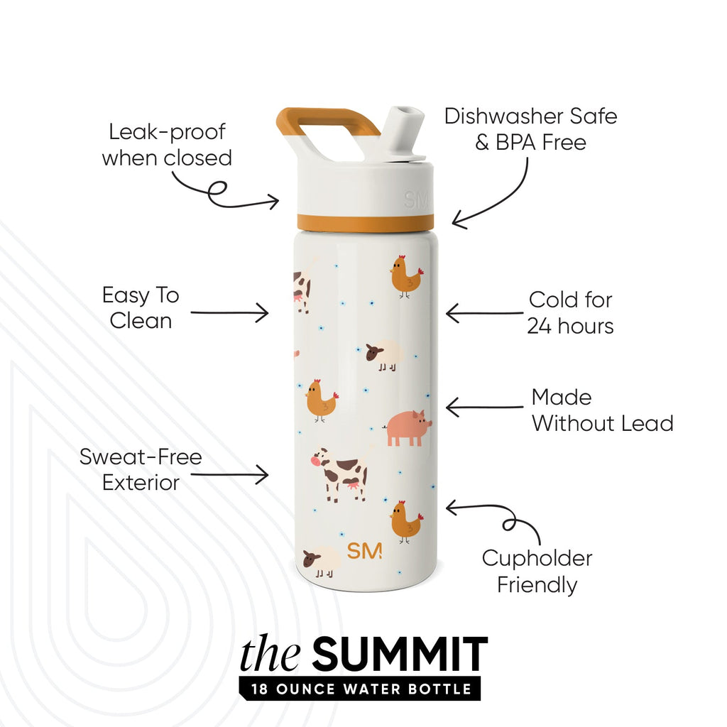 Summit Kids Water Bottle with Straw Lid - 14oz