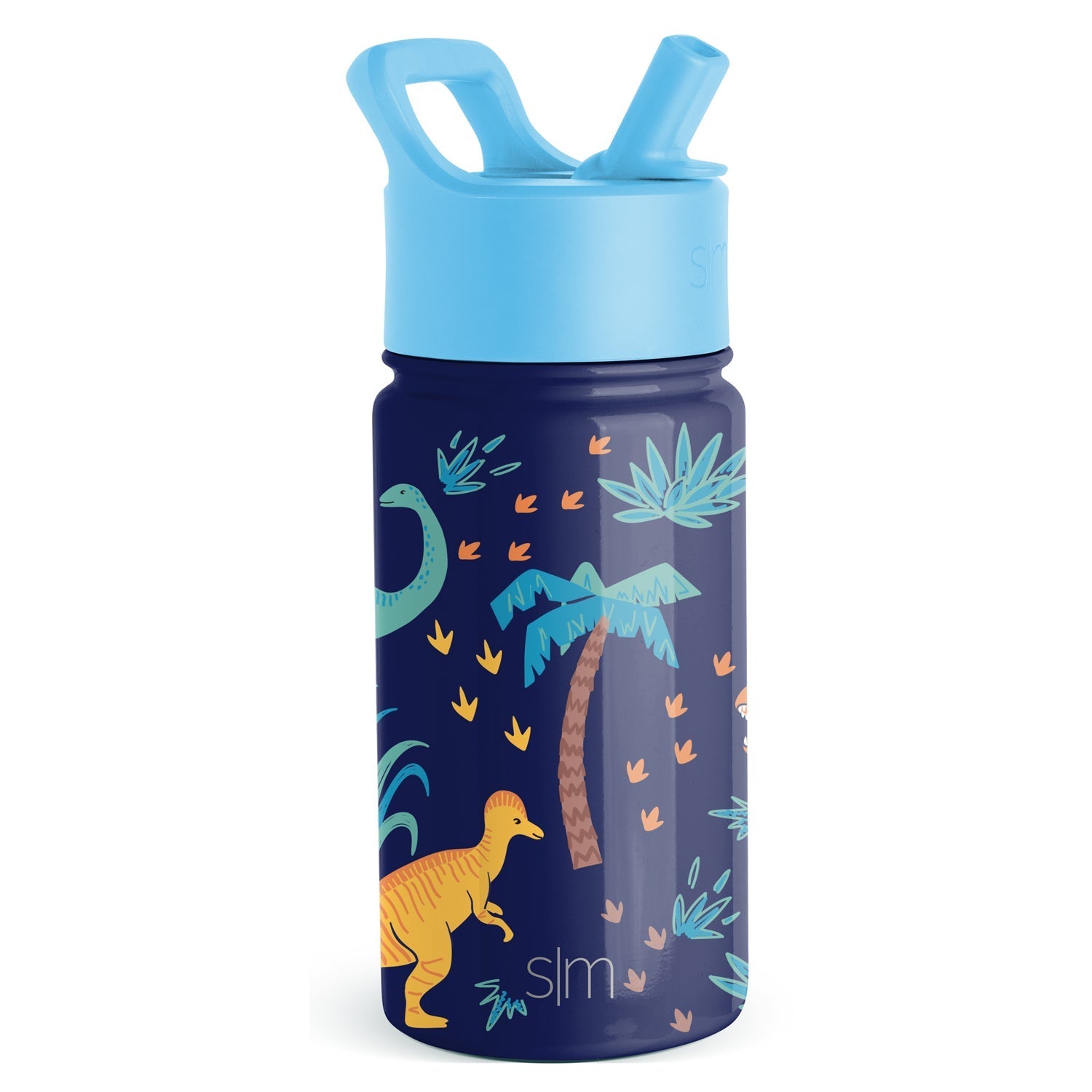 Summit Kids Water Bottle with Straw Lid - 14oz - Jurassic Jungle / Straw / SMC